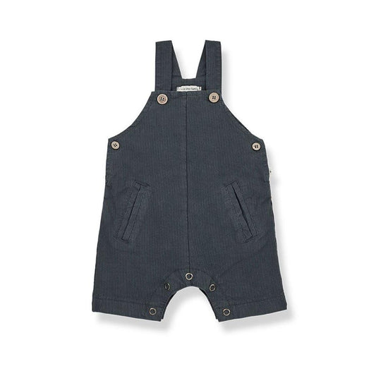 1+ in the family Tomeu Overalls - Clothing & Accessories - The Present King