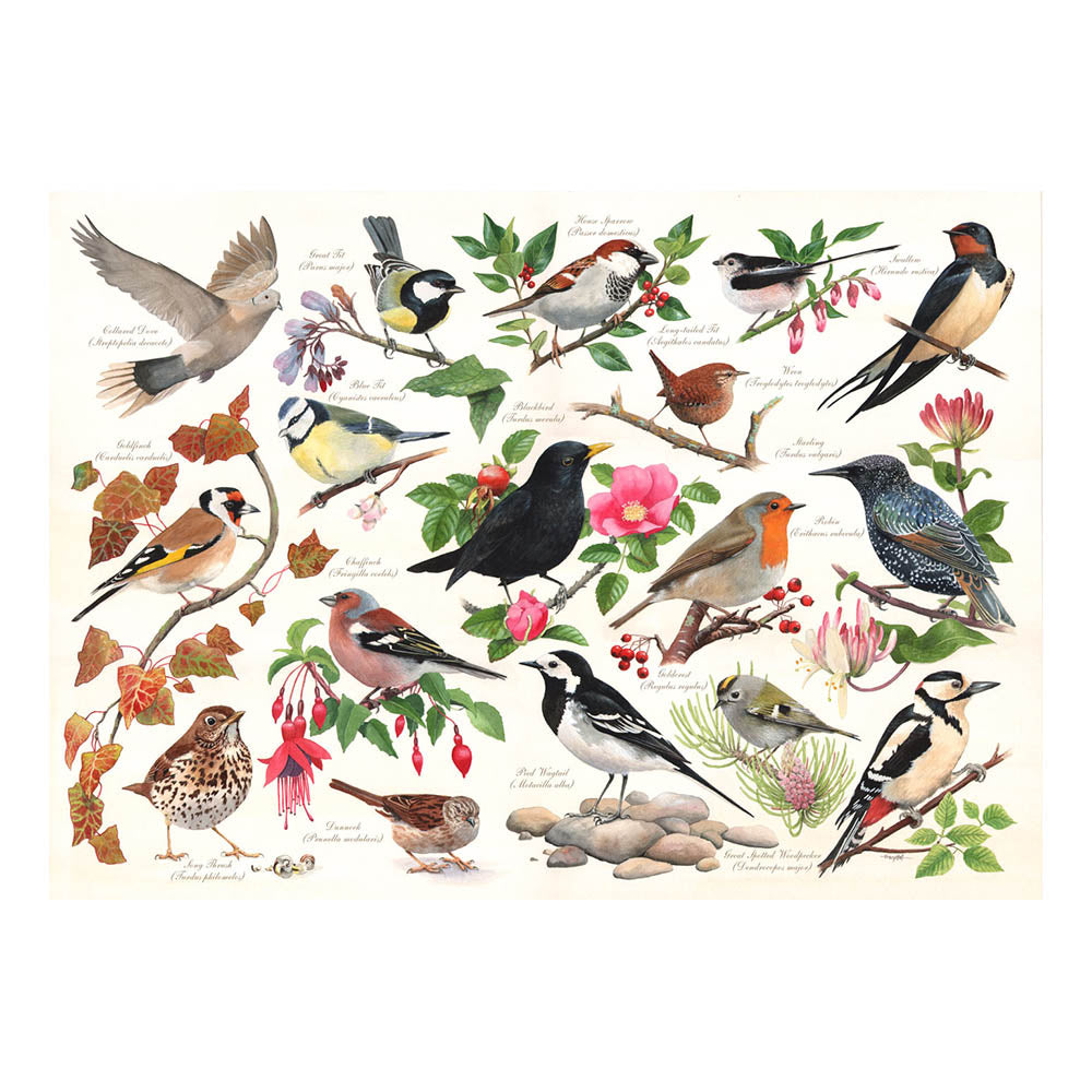 Birds in My Garden - 1000 Piece Jigsaw Puzzle