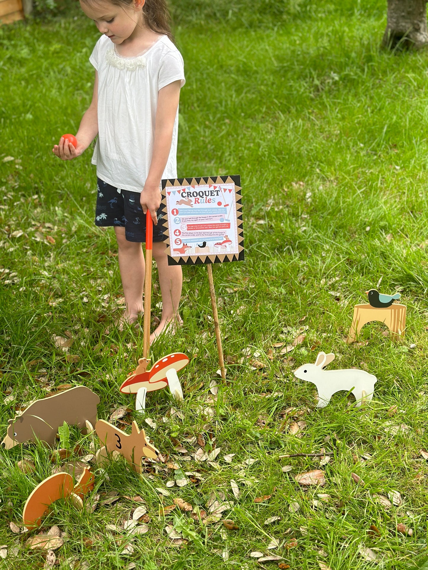 Woodland Indoor Croquet Set