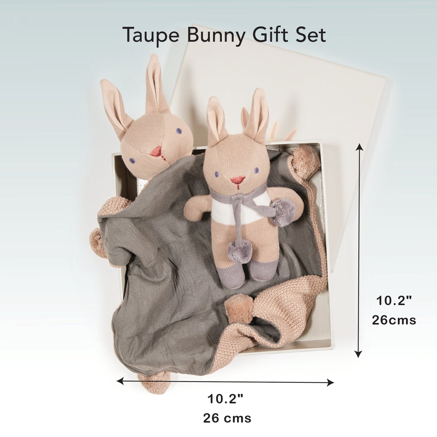 Baby Threads Taupe Bunny Gift Set