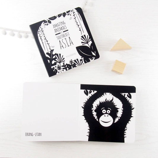 Amazing Animals Of Southeast Asia Monochrome Board Book, Black - Toys & Games - The Present King