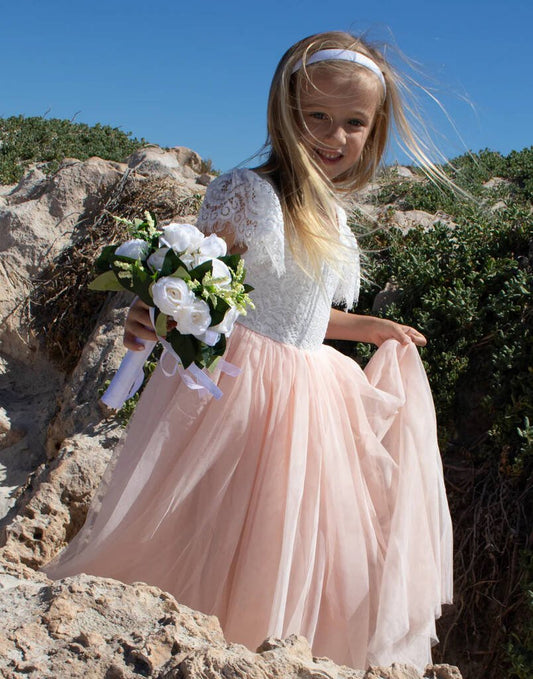 Anastasia In Blush ~ Party Or Flower Girl Dress - Clothing & Accessories > Clothing > Dresses > Baby & Toddler Dresses - The Present King