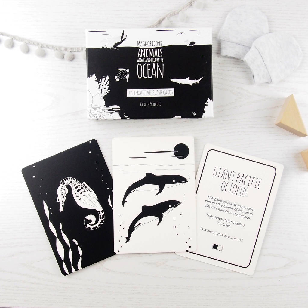 Black And White Baby Flash Cards Ocean Life, Black - Toys & Games - The Present King