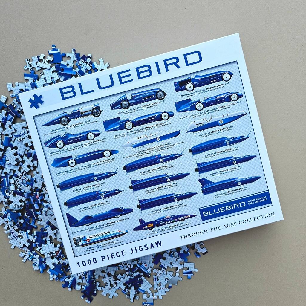 Bluebird 1000 Piece Jigsaw, Blue/White - Toys & Games - The Present King