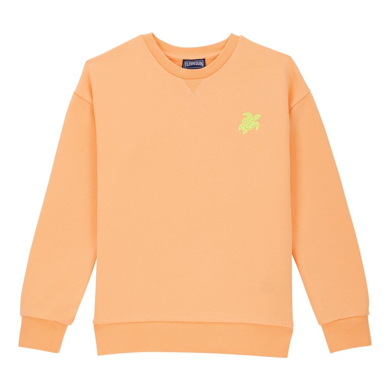 Boys 3d Print Turtle Cotton Crewneck Sweatshirt - Clothing & Accessories - The Present King