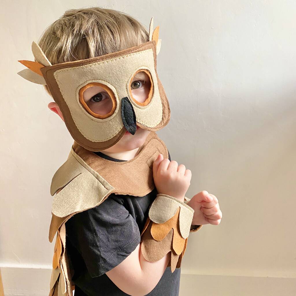 Brown Owl Costume For Kids And Adults, Brown - Clothing & Accessories - The Present King