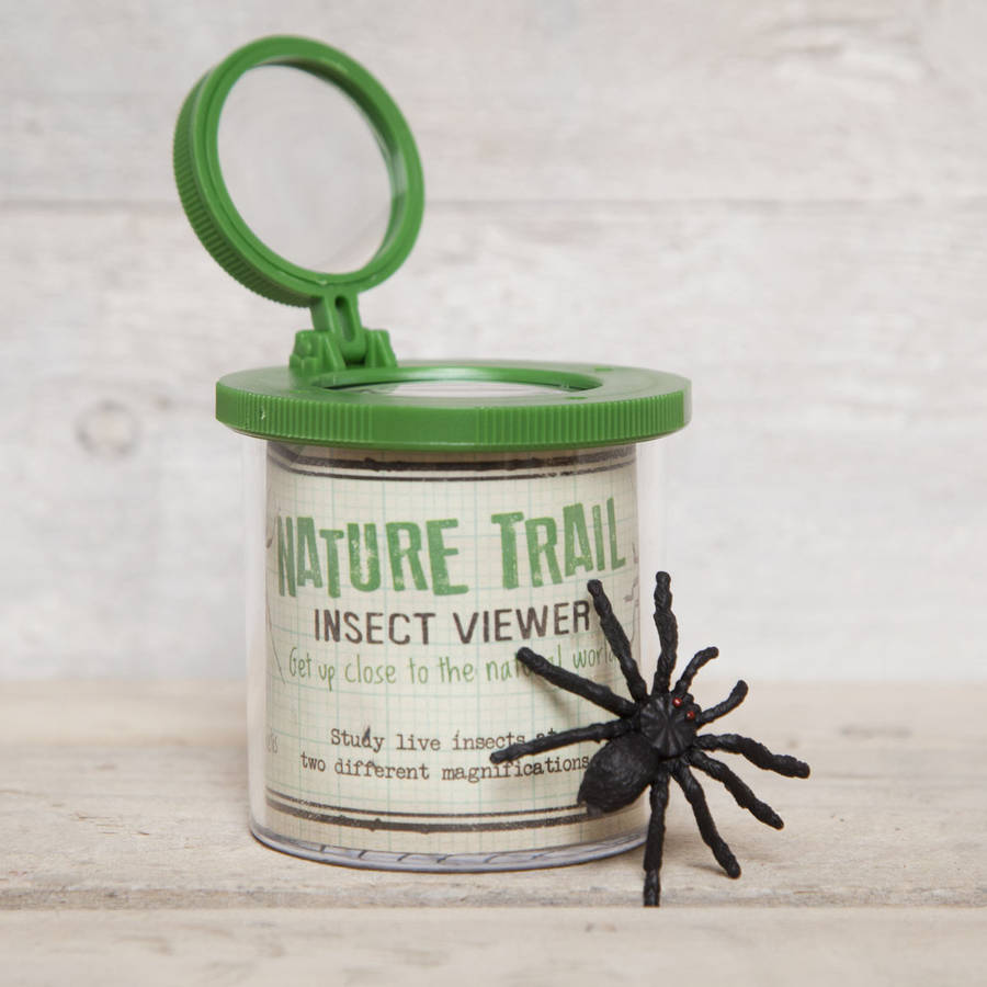 Bug Insect Viewer With Magnifier, Green - Toys & Games - The Present King