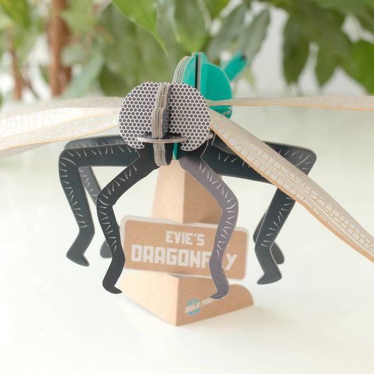 Build Your Own Personalised Dragonfly - Toys & Games - The Present King