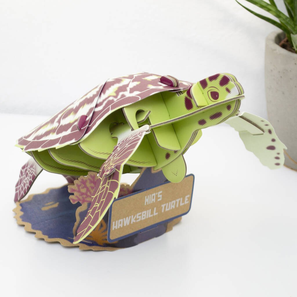 Build Your Own Personalised Hawksbill Turtle - Toys & Games - The Present King