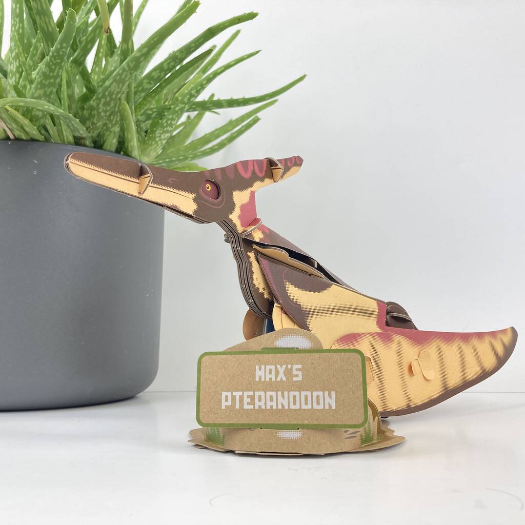 Build Your Own Personalised Pteranodon - Toys & Games - The Present King