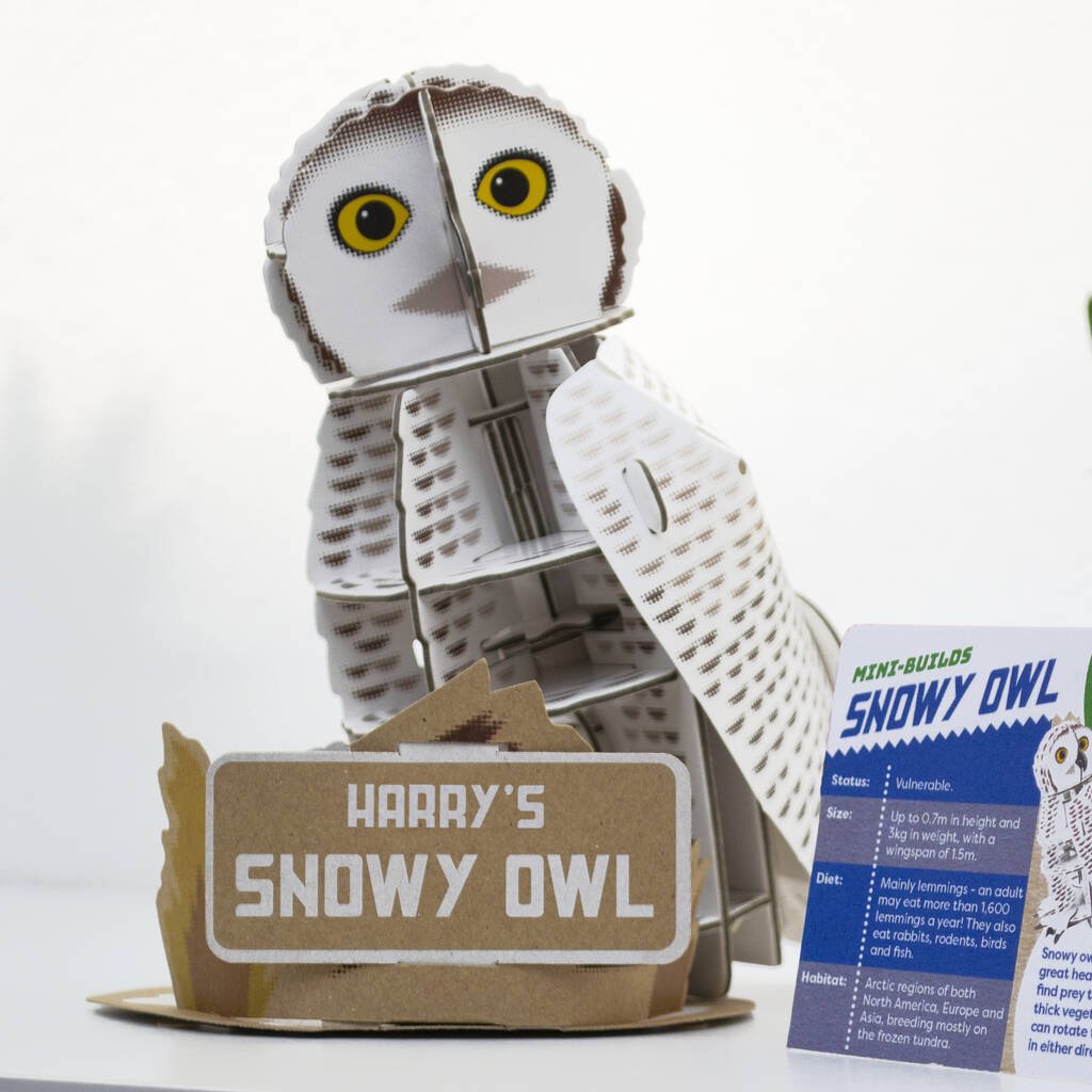 Build Your Own Personalised Snowy Owl - Toys & Games - The Present King