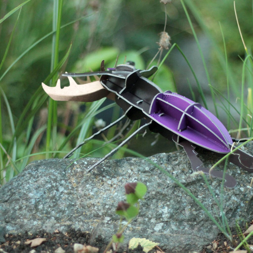 Build Your Own Personalised Stag Beetle - Toys & Games - The Present King