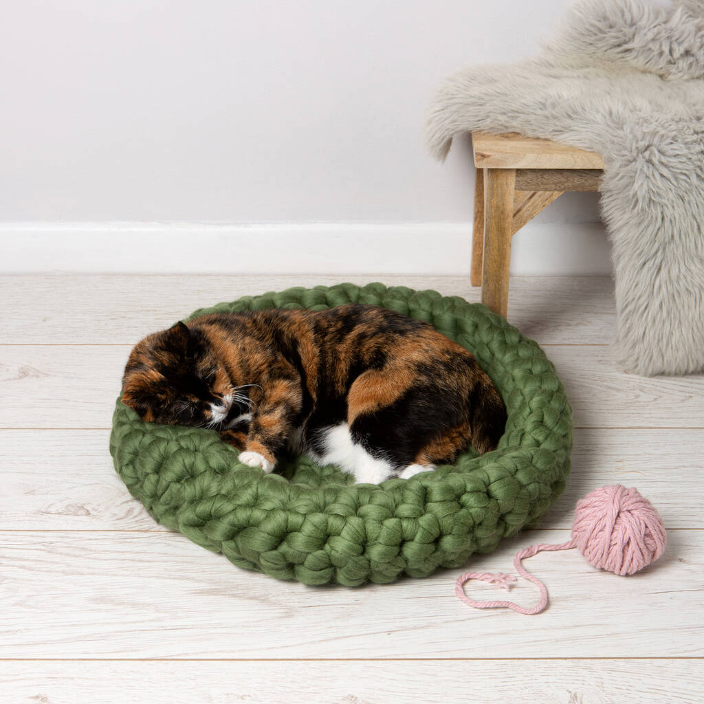 Cat Bed Easy Crochet Kit - Toys & Games - The Present King