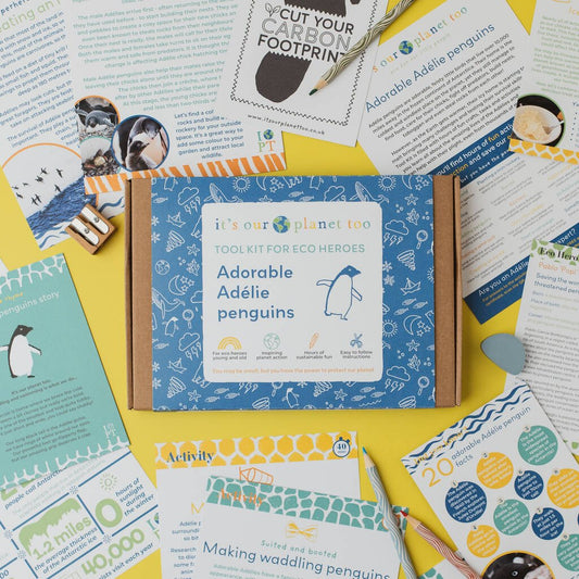 Children's Eco Activity Box: Adorable Adélie Penguins - Toys & Games - The Present King