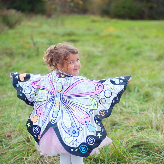 Colour Your Own Butterfly Wings - Toys & Games - The Present King