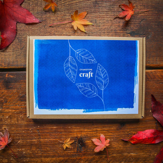 Cyanotype Printing Craft Kit, Blue - Toys & Games - The Present King