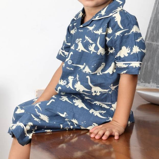 Dinosaur Blue Short Set, Blue - Clothing & Accessories - The Present King