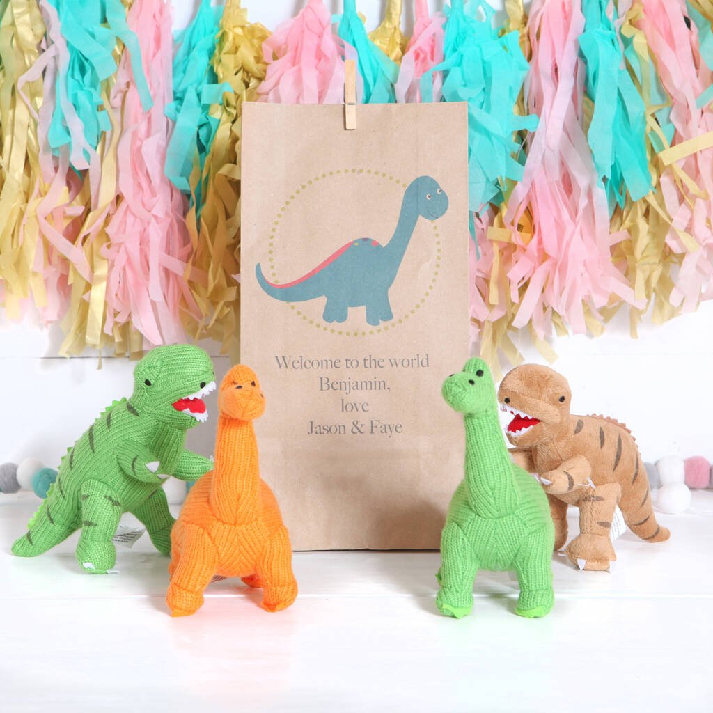 Dinosaur Rattle With Personalised Gift Bag, Blue/Green/Orange/Red - Toys & Games - The Present King