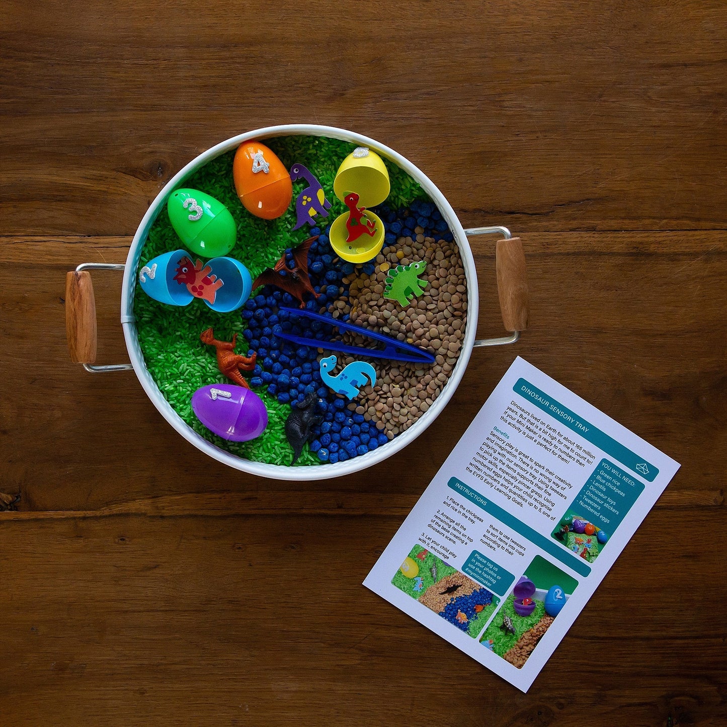 Dinosaur Sensory Kit - Toys & Games - The Present King