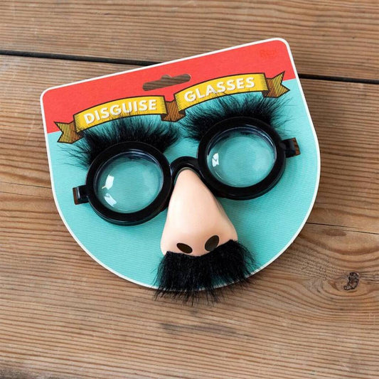 Disguise Joke Glasses - Toys & Games - The Present King