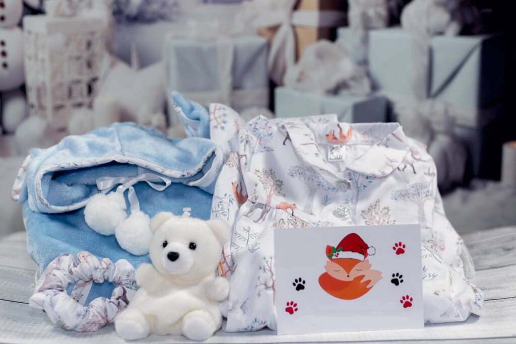 Festive Winter Snow Forest Snuggle Hoodie, Nightie, Teddy Gift Box, Blue - Toys & Games - The Present King