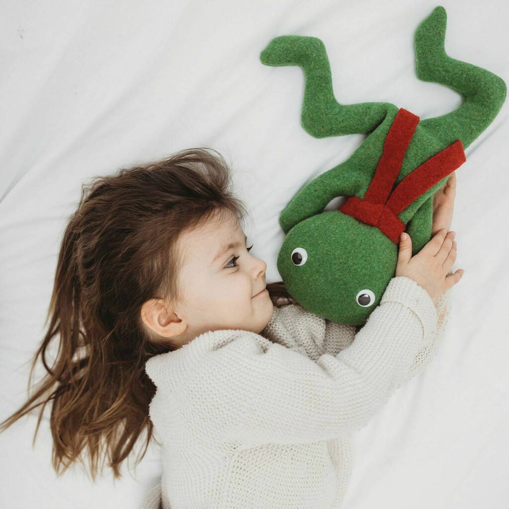 Frog Bean Bag Personalised And Handmade, Multiple Choices Available - Toys & Games - The Present King