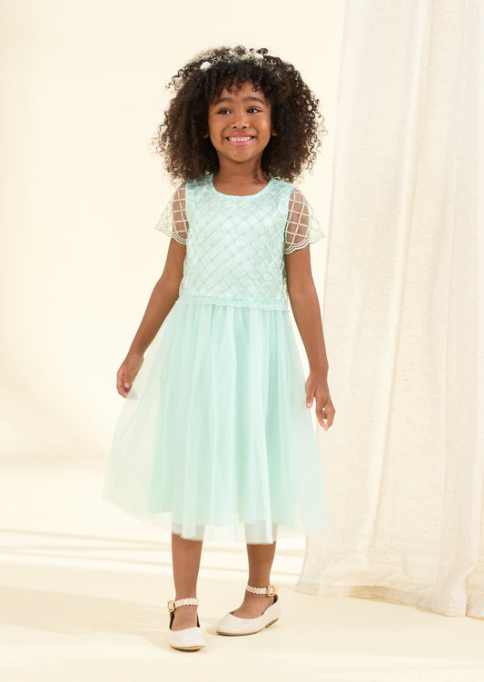 Girls Tulle Dress - Clothing & Accessories > Clothing > Dresses - The Present King