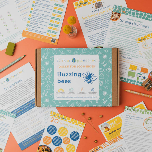 Children's Eco Activity Box: Buzzing Bees