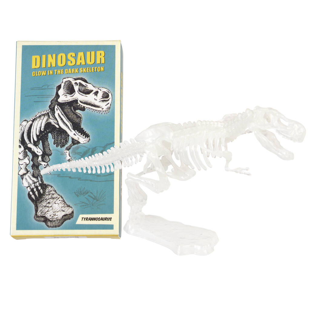 Glow In The Dark Dinosaur Skeleton Kit