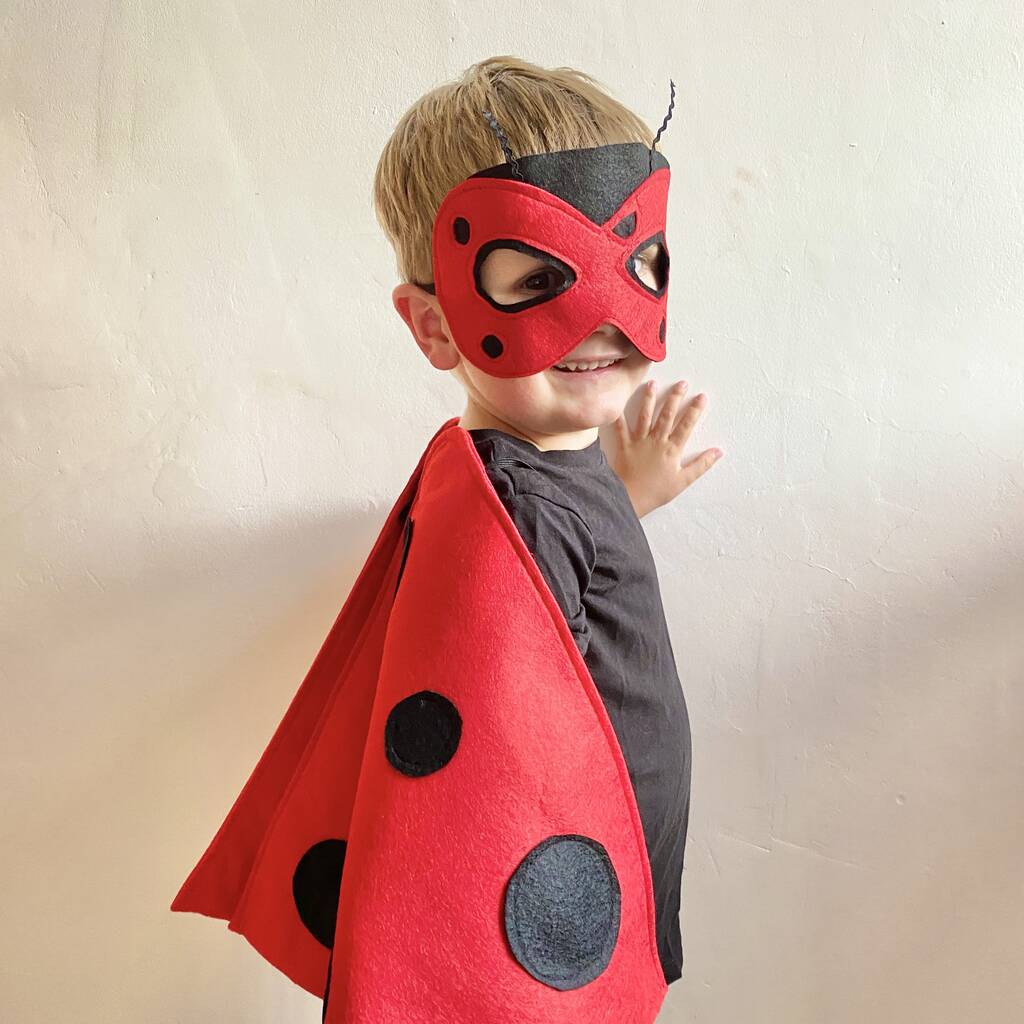 Felt Ladybird Costume For Kids And Adults, Red