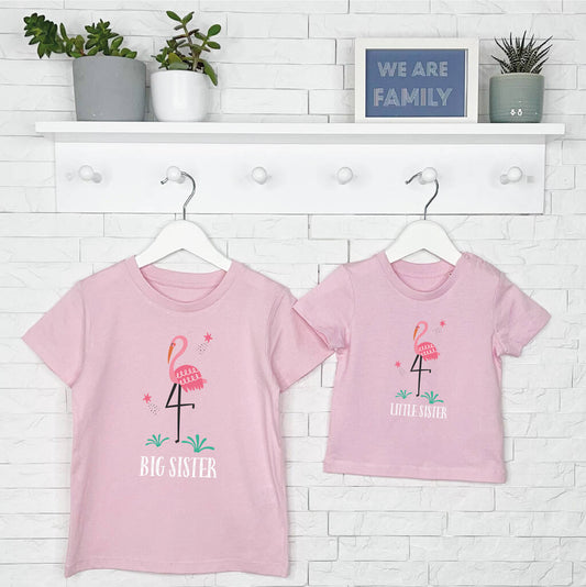 Flamingo Big Sister Little Sister T Shirt Set