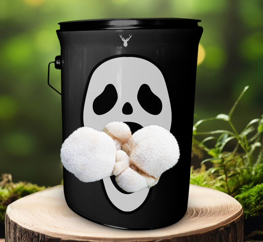 Ghouls' Grub Lion's Mane Mushroom Grow Kit