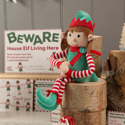 Girl Christmas Elf And Magical Reward Kit