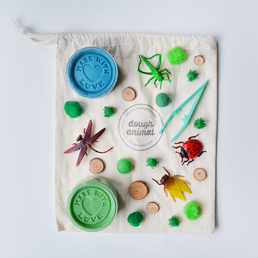 Insects Play Dough Kit