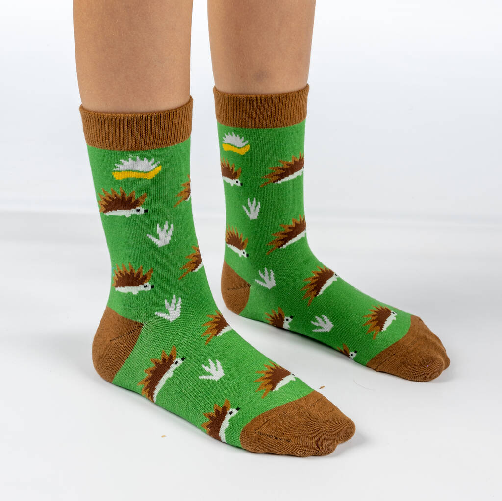 Kids Bamboo Socks - Hedgehog Socks - Sustainable Socks, Green