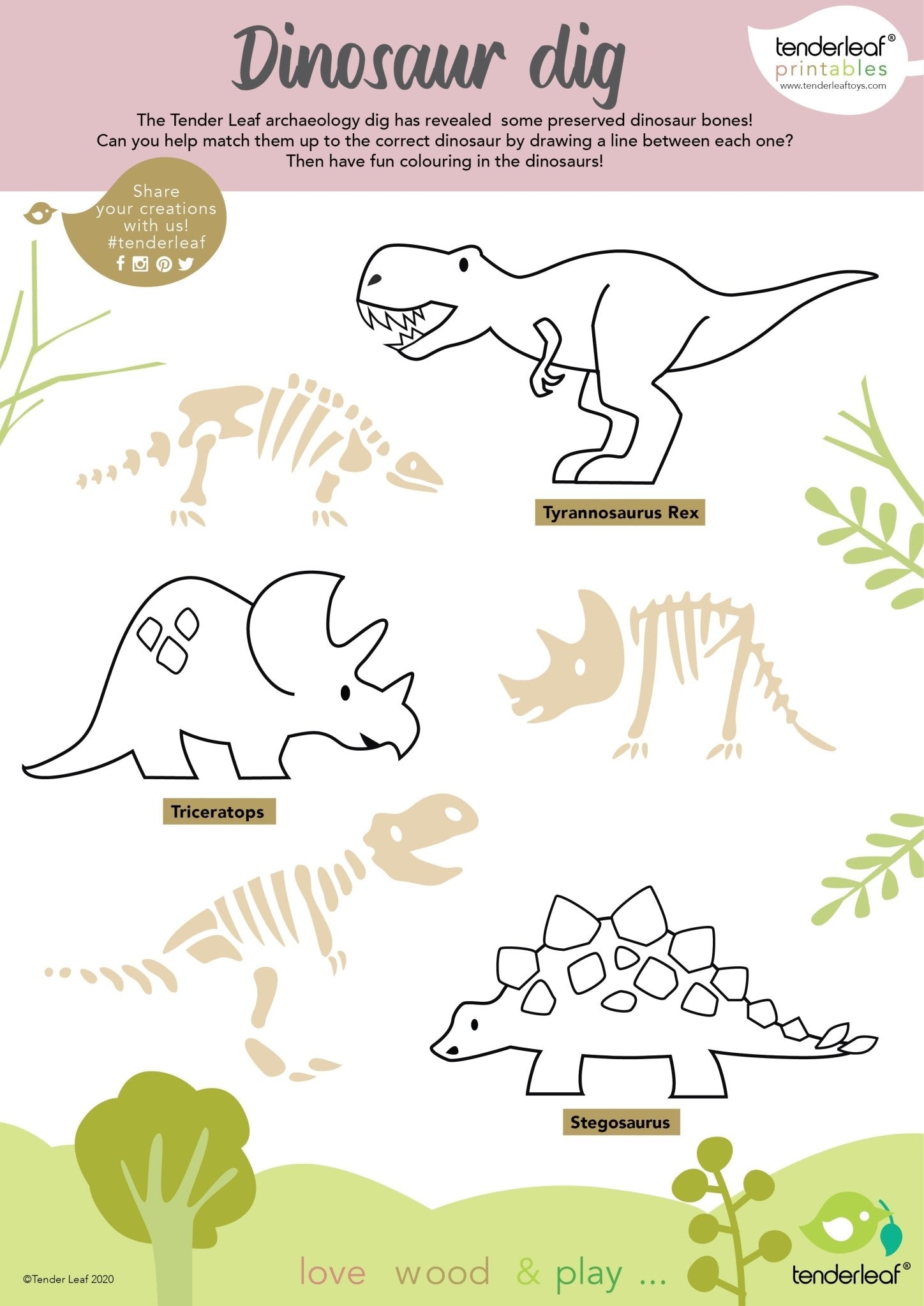 8 Dinosaurs & Shelf - Wooden CDU + product - ELLIE