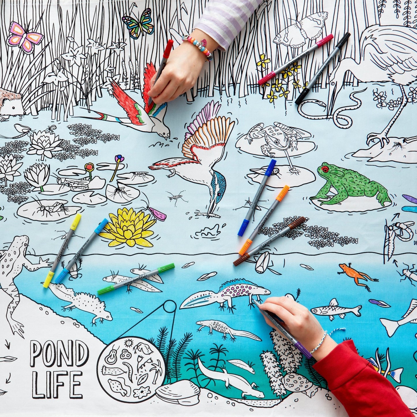 Nature & Wildlife Pond Adventure Tablecloth - Colour in & Learn - Educational Colouring Gifts - ELLIE