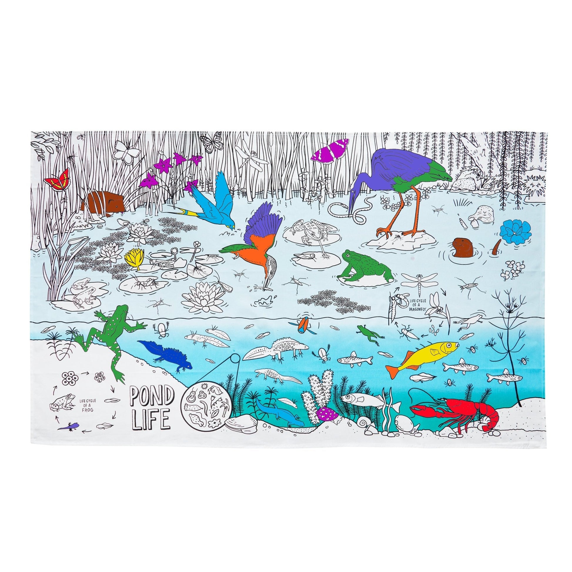 Nature & Wildlife Pond Adventure Tablecloth - Colour in & Learn - Educational Colouring Gifts - ELLIE