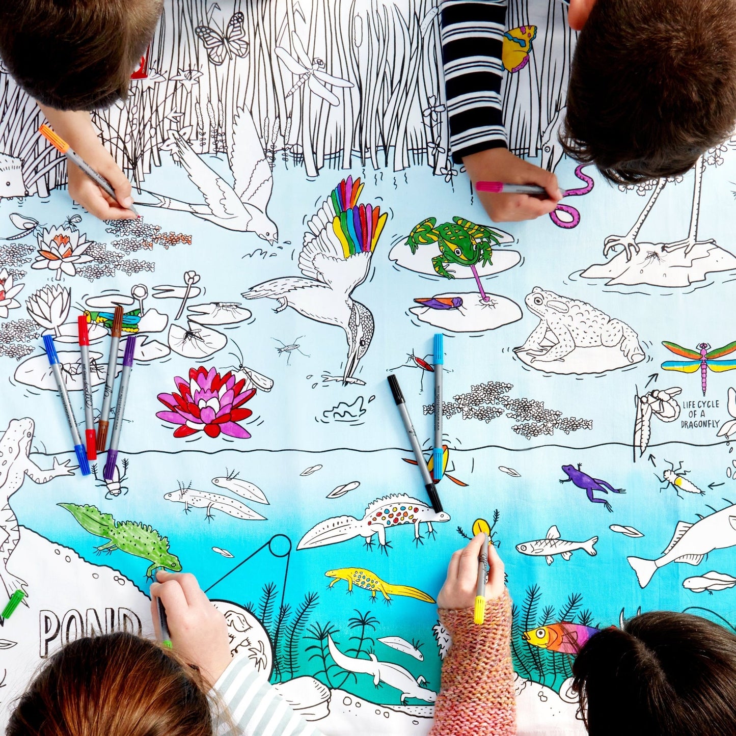 Nature & Wildlife Pond Adventure Tablecloth - Colour in & Learn - Educational Colouring Gifts - ELLIE