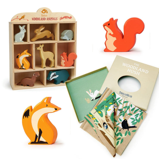 Woodland Animal Shelf & Woodland Book Bundle - Rag Books - ELLIE